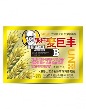 麥巨豐